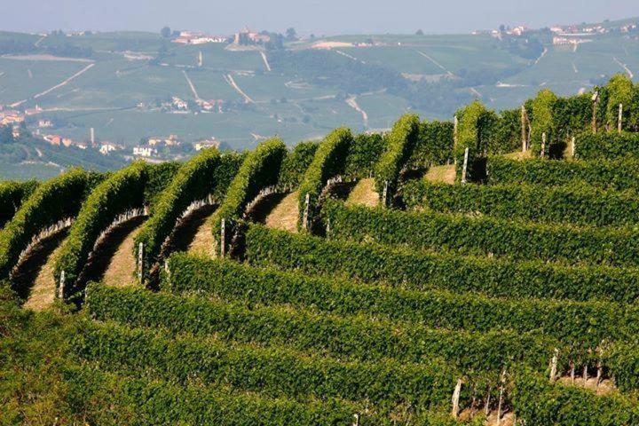 Agriturismo Cascina Rabalot Diano d'Alba Bagian luar foto