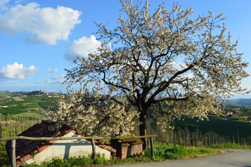 Agriturismo Cascina Rabalot Diano d'Alba Bagian luar foto
