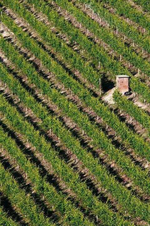 Agriturismo Cascina Rabalot Diano d'Alba Bagian luar foto